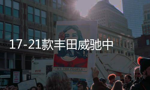 17-21款丰田威驰中网外观改装配件FS汽车前脸保险杠专用装饰条下载