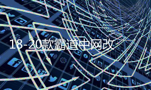 18-20款霸道中网改装 普拉多中网饰条 亮条装饰配件彩条专用下载