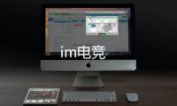 im电竞