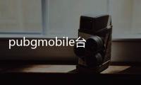 pubgmobile台服(PUBG MOBILE TW)