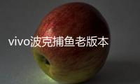 vivo波克捕鱼老版本